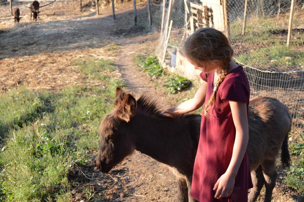 セッジャーノ Bellavistaヴィラ エクステリア 写真